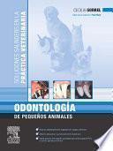 libro Odontología De Pequeños Animales